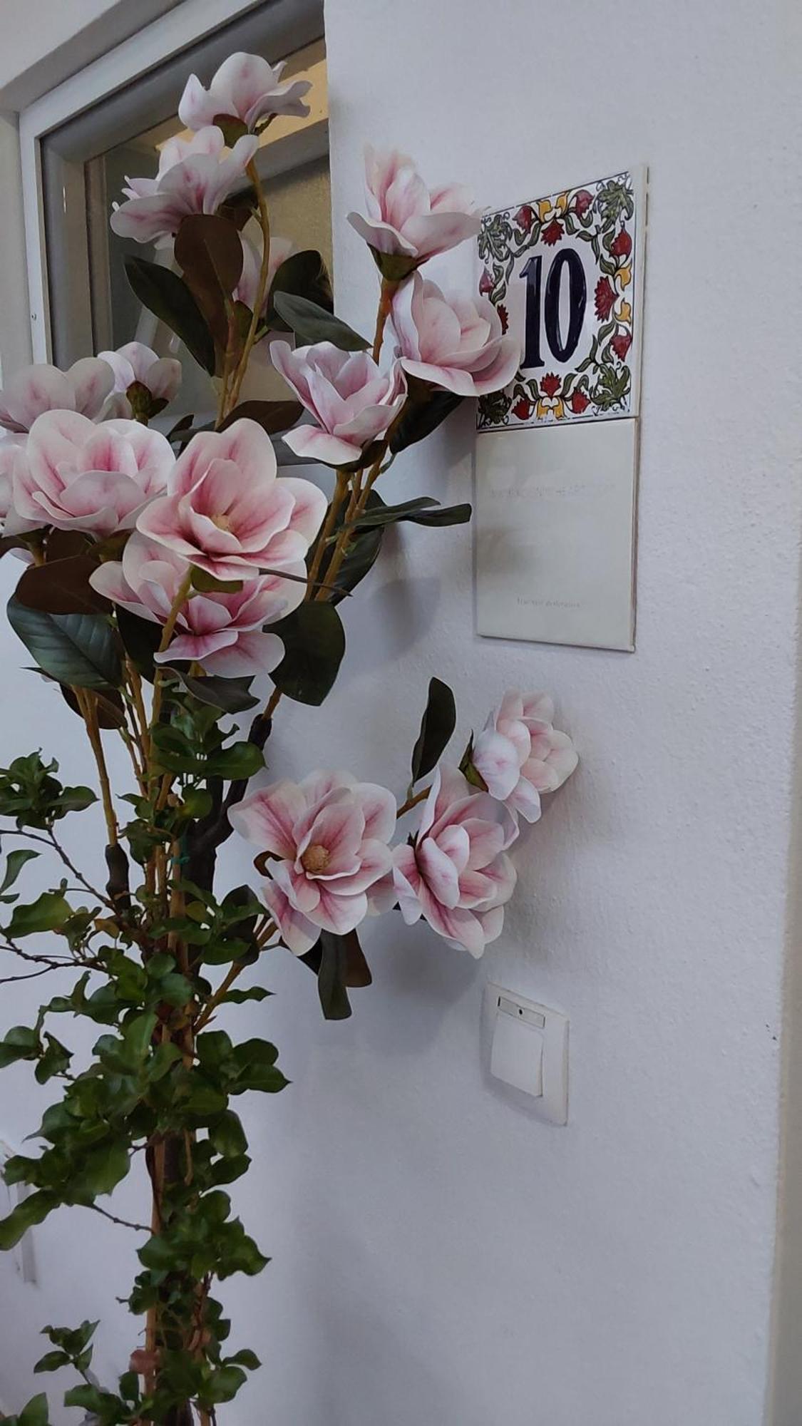 Kosinmyheart Apartment 11 & Studio10 Εξωτερικό φωτογραφία